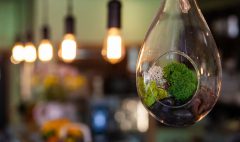 eco decor